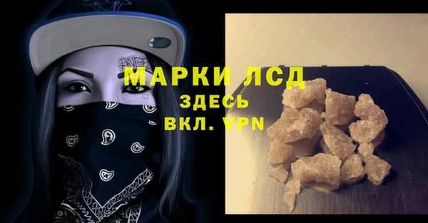сатива Зерноград