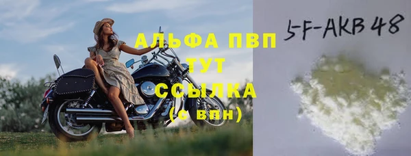 сатива Зерноград