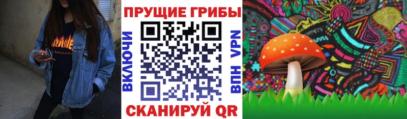 Псилоцибиновые грибы мицелий  Карабаново 